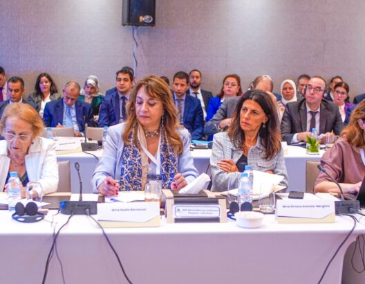 الأمانة العامة للحكومة: القانون الدولي يوطد الحماية الدستورية للحقوق والحريات