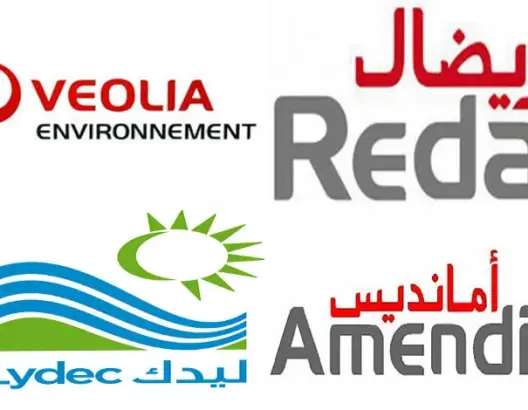مجلس بركة يفضح اختلالات التدبير المفوض بالمغرب