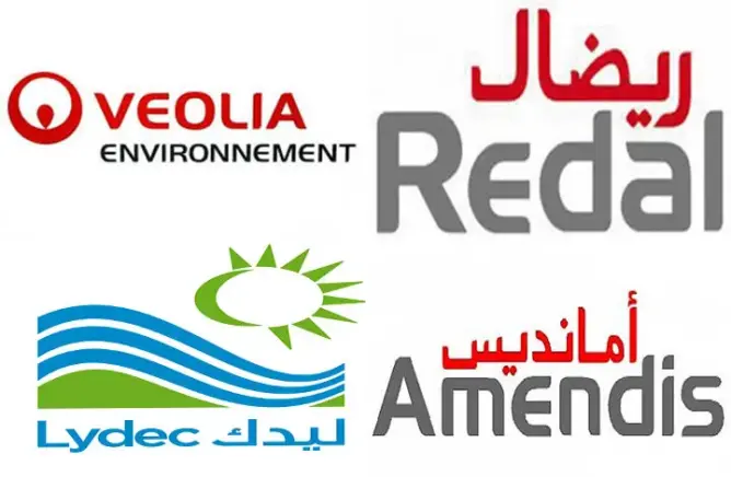 مجلس بركة يفضح اختلالات التدبير المفوض بالمغرب