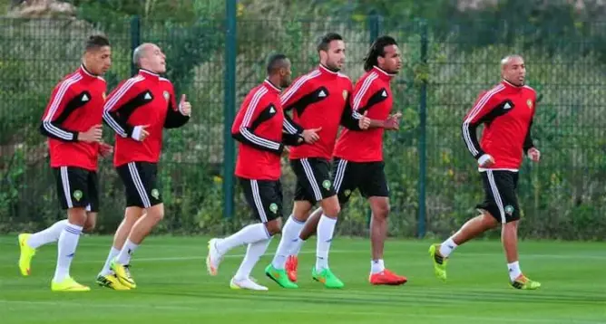 موجز رياضي: الإصابة تبعد 3 لاعبين عن لائحة الأسود