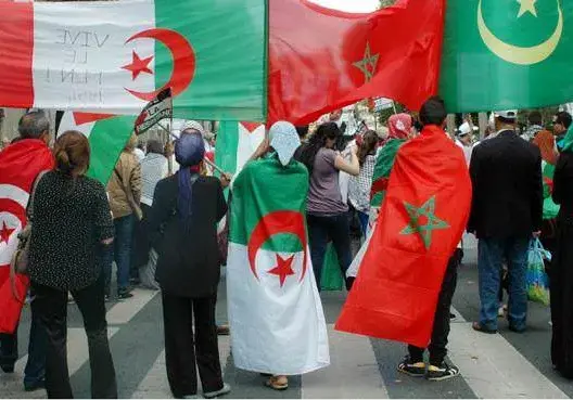 هل تتكرر أزمة السويد؟ الجزائر والاعتراف البرازيلي بالوهم