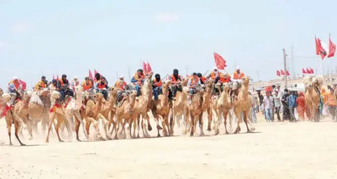 العيون: انطلاق فعاليات النسخة الرابعة لسباق الهجن