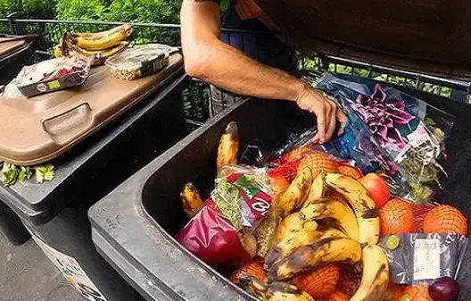 10 أطنان من الأغذية الصالحة ترميها أروبا في النفايات كل ساعة