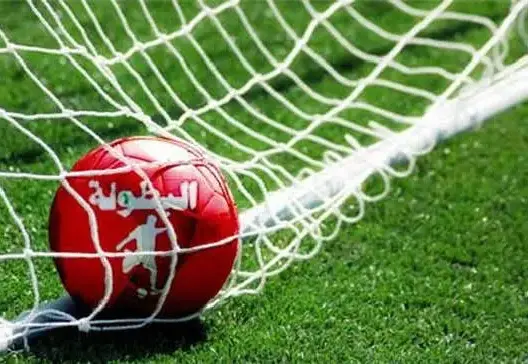 ترتيب البطولة الاحترافية بعد الدورة 12