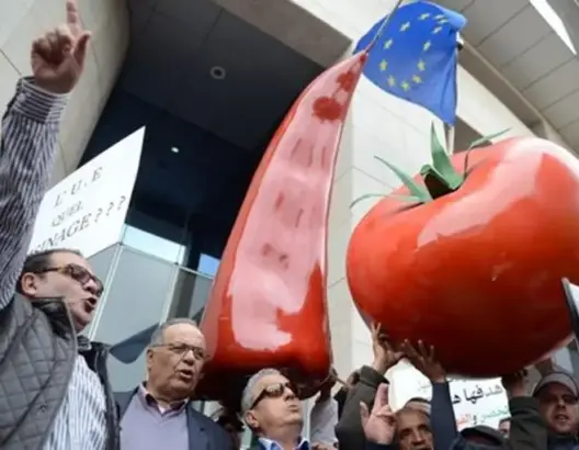 المشكل أكبر من قرار محكمة العدل الأوروبية