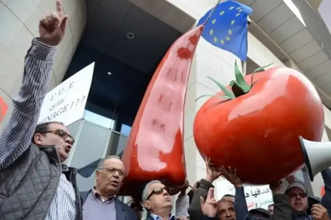 المشكل أكبر من قرار محكمة العدل الأوروبية
