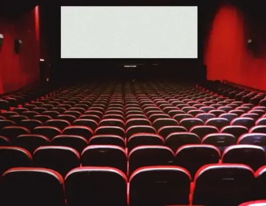 ارتفاع دعم الدولة للسينما وإعفاء القاعات من الضريبة