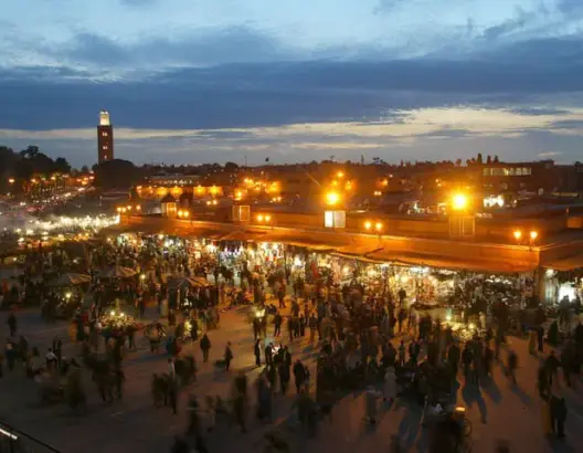 وكالات أسفار مغربية تبحث التعاون مع مصر