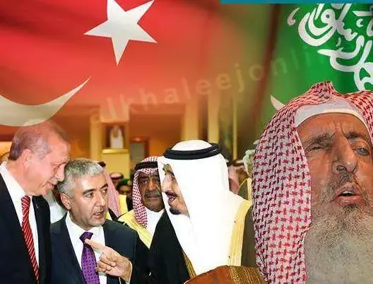 مفتي السعودية يدعو إلى دعم تركيا ضد روسيا