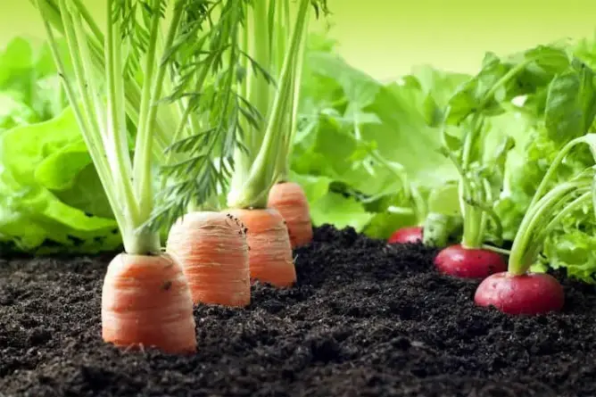 الحكومة تخصص 5 مليارات درهم لمكافحة الجفاف وهذا مخططها