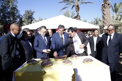 أخنوش يغيب عن أشغال منتدى الواحات بزاكورة