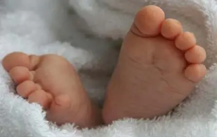 العثور على جثة رضيعة بحقيبة للمسافرين بالمحطة الطرقية لتطوان