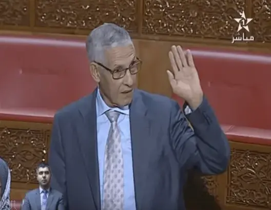 الداودي للمستشارين: هاد الحكومة أحسن حكومة في تاريخ المغرب