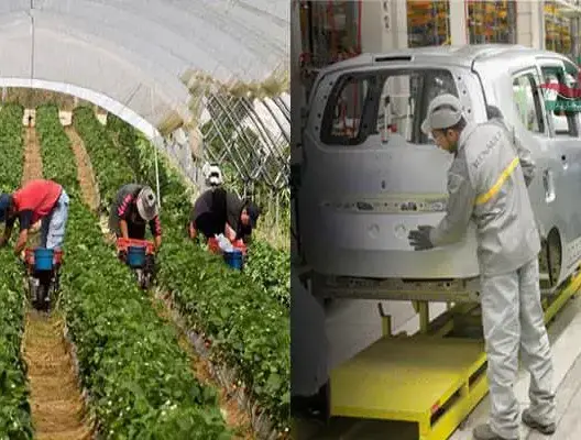 مندوبية الحليمي تسجل تراجعا في مناصب الشغل في الفلاحة والصناعة