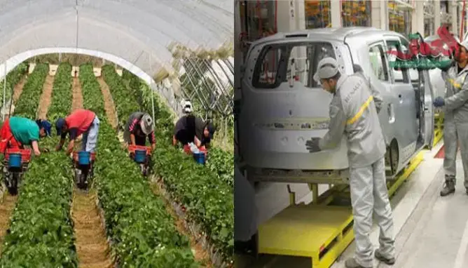 مندوبية الحليمي تسجل تراجعا في مناصب الشغل في الفلاحة والصناعة