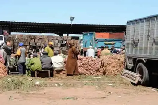 ارتفاع الخدمات النفعية غير المالية بـ35% خلال 2015