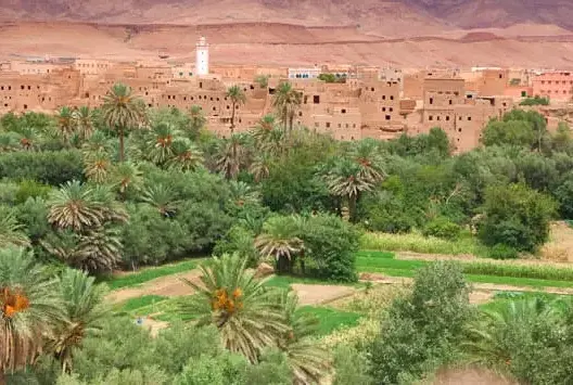 تقرير: زاكورة وورزازات مهددتان بجفاف كبير في 2050