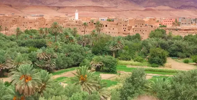 تقرير: زاكورة وورزازات مهددتان بجفاف كبير في 2050