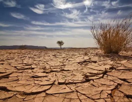 تقرير: هشاشة الاقتصاد المغربي إزاء انعكاسات التغيرات المناخية