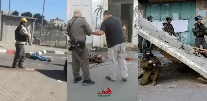 هكذا احتفل “الإسرائيليون” بعيد الحب.. إعدام 3 فلسطينيين ودماء ياسمين تثير الغضب (صور)