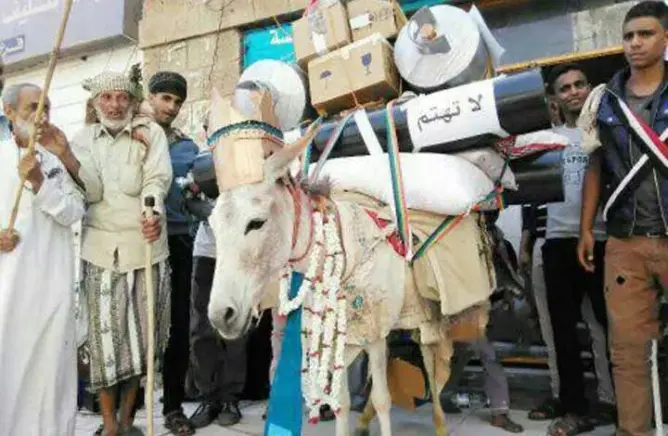 تكريم حمار ساهم في كسر الحصار على مدينة باليمن