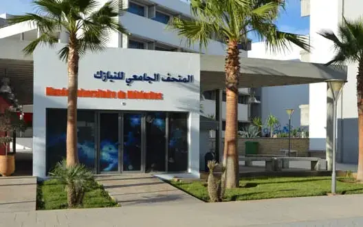 جامعة ابن زهر تفتتح أول متحف للنيازك بإفريقيا والعالم العربي
