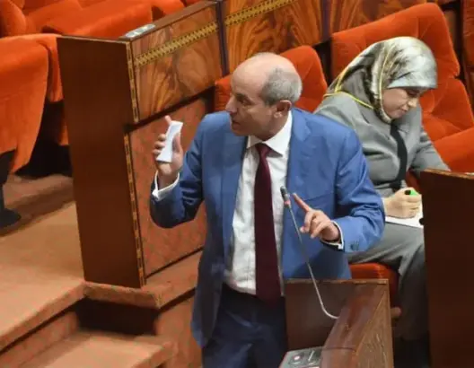 الصديقي: الحكومة تدعم المقاولات الجديدة لامتصاص البطالة