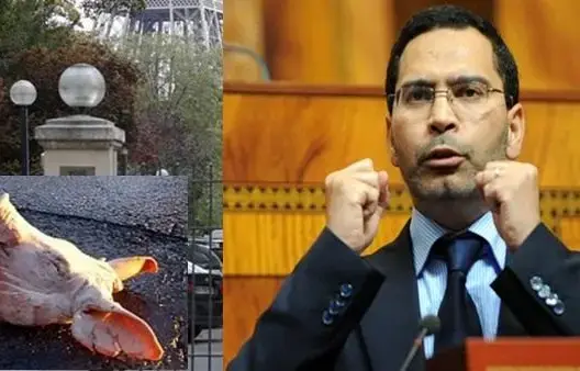 الخلفي: ما وقع بسفارة المغرب بباريس عمل “حقير” ندينه بشدة
