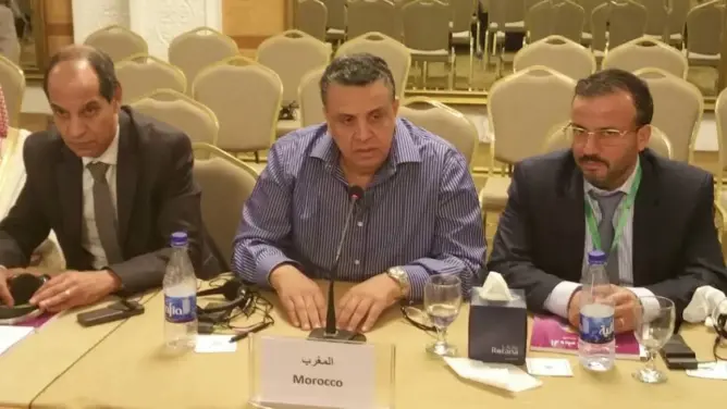 وهبي يدعو الدول الإفريقية والعربية للاعتماد على جهودها لحل المشاكل
