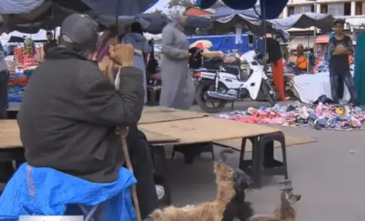 بالفيديو.. استراتيجية المغرب لمحاربة الإرهاب