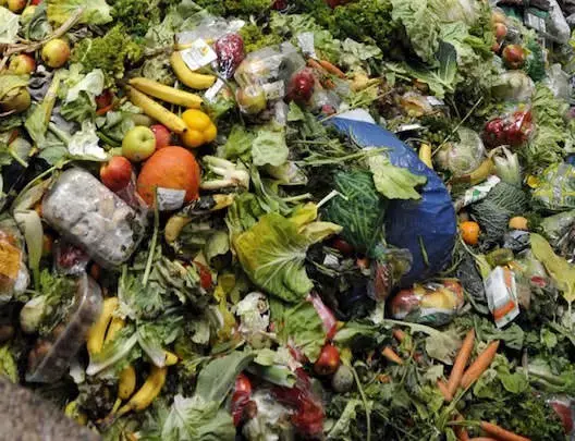 العلماء يتنبأون بأزمة غذاء في غضون 30 عاما
