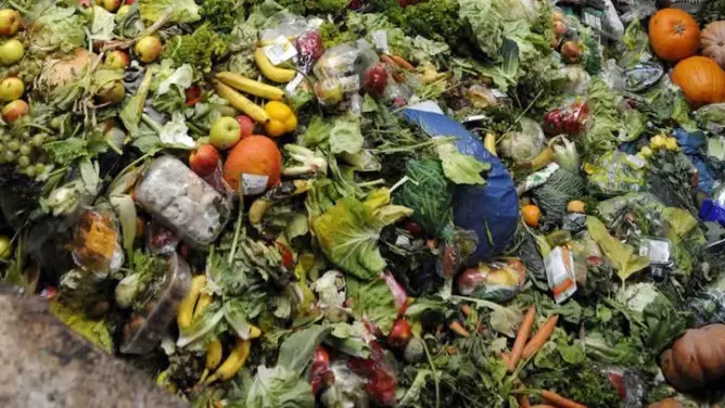العلماء يتنبأون بأزمة غذاء في غضون 30 عاما