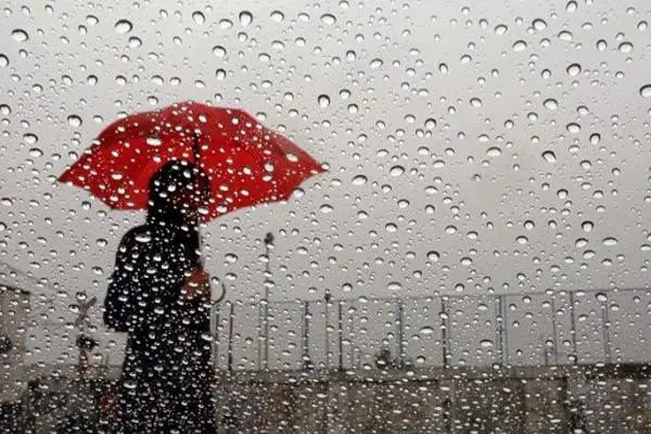 طقس بارد مع نزول أمطار وزخات رعدية غد الثلاثاء