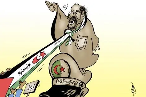 “الجزائر تايمز”: المغرب ربح الصحراء و الجزائر ربحت “بوكي مون”