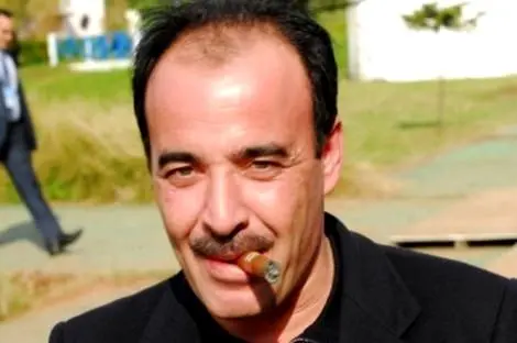 العماري: زراعة الكيف كانت قانونية بمرسوم من الملك محمد الخامس