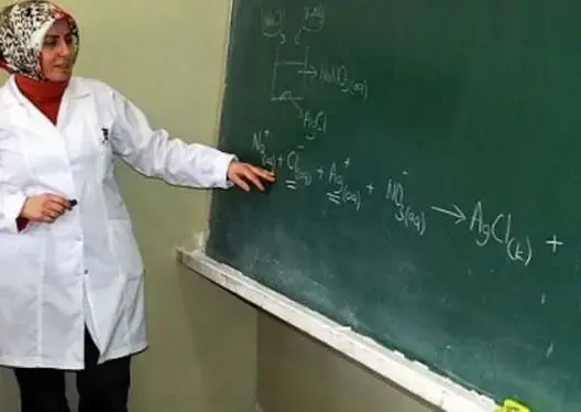 انتقال 460 أستاذا وأستاذة بمختلف الأسلاك التعليمية برسم 2016
