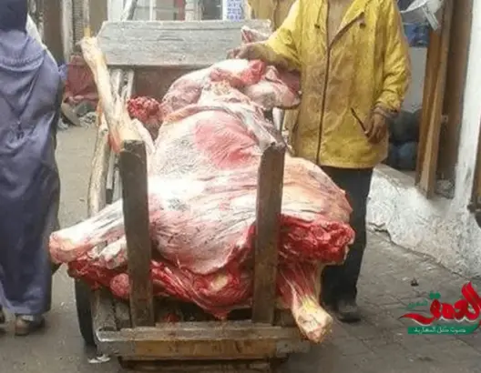شاهد كيف تقل عربة اللحوم في سلا.. صحة المواطن خارج الحسابات