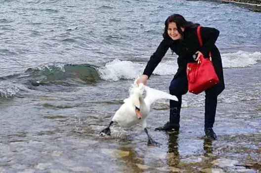 سائحة تقتل طائرا من أجل صورة “سيلفي” (صورة)