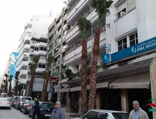 اتهامات لولاية طنجة بـ”تسهيل عمل اللصوص” بسبب النخيل