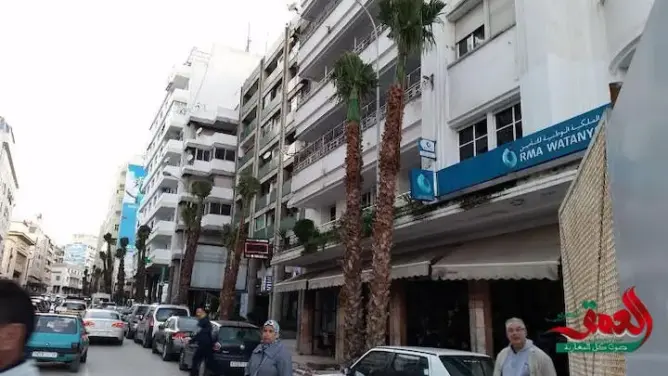 اتهامات لولاية طنجة بـ”تسهيل عمل اللصوص” بسبب النخيل