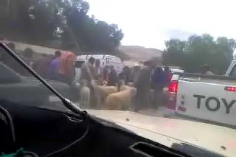 الداخلية ترسل لجنة إلى تازة للتحقيق في “تدخل” السلطات المحلية بسوق أسبوعي