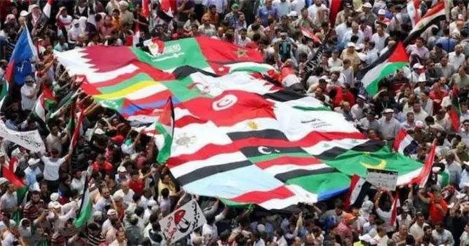 حسن طارق يكتب: عن الربيع المغربي