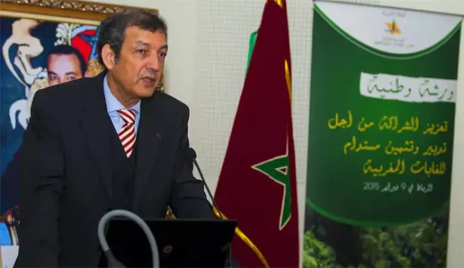 انتخاب المغرب رئيسا لـ”مرصد الصحراء والساحل” وفرنسا تتولى النيابة الأولى