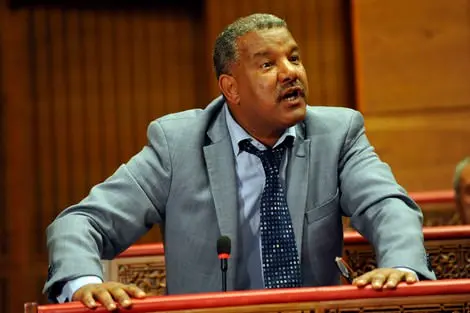 رسميا.. المجلس الدستوري يسقط عضوية دعيدعة من مجلس المستشارين