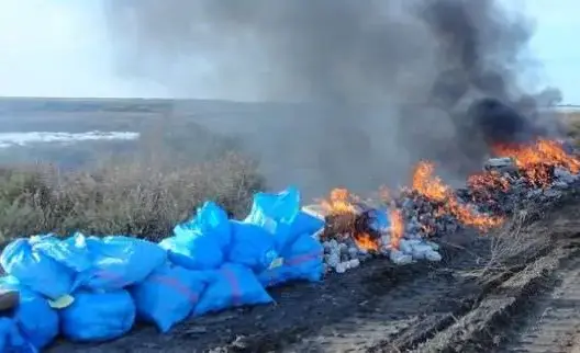 إتلاف 10 أطنان من المخدرات ضبطت بميناء طنجة المتوسطي