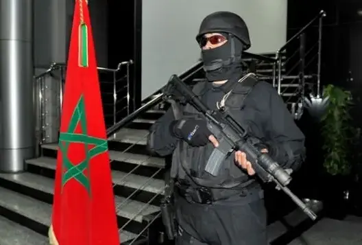 تفكيك عصابة دولية لتهريب المخدرات بين المغرب وأوروبا واعتقال 7 من أفرادها