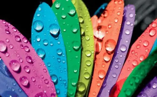 التوافق على الألوان يضمن استمرار العلاقة