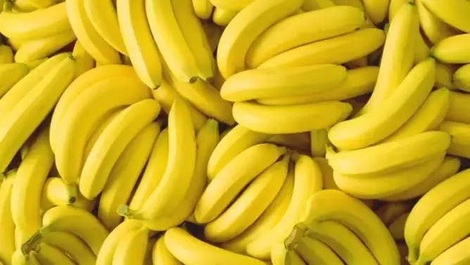 الموز مهدد بالاندثار