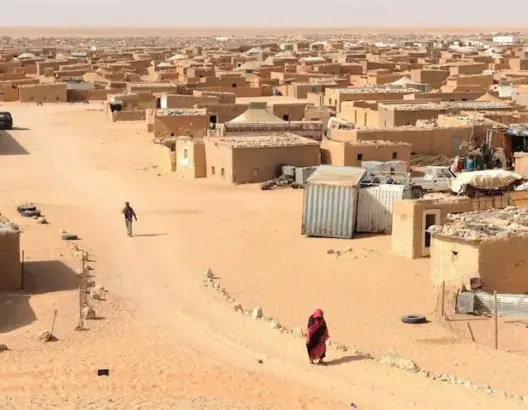 الدخيل: مقاتلو البوليساريو الذين كانوا يهددون بالحرب أصبحوا تجارا