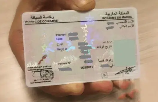 مجلس جطو: أرقام رخص السياقة والبطائق الرمادية “غير موثوقة”